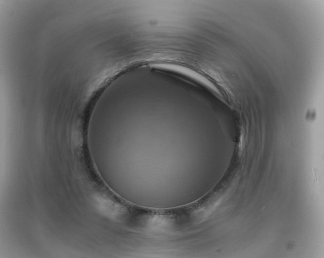 X0000092000303200709061445