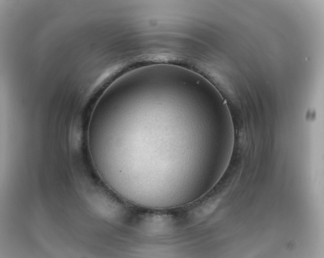 X0000092000304200709061445