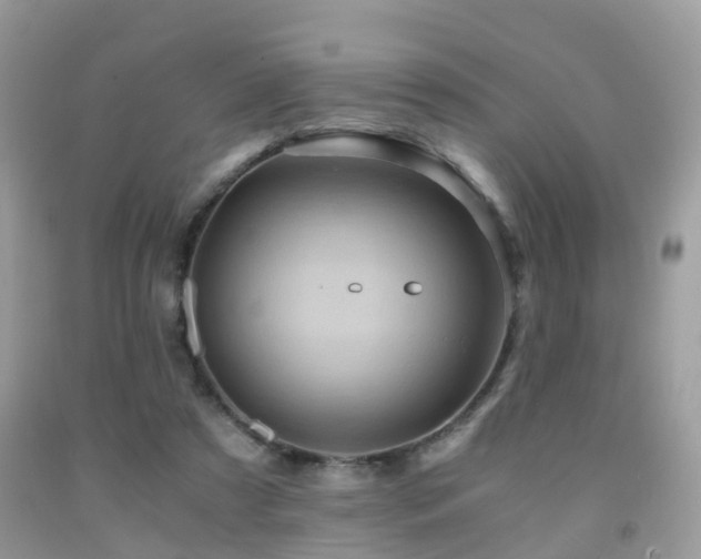 X0000092000305200709061445