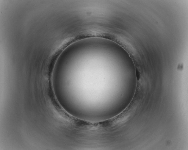 X0000092000306200709061445