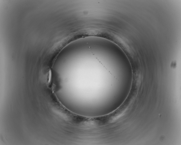 X0000092000307200709061445