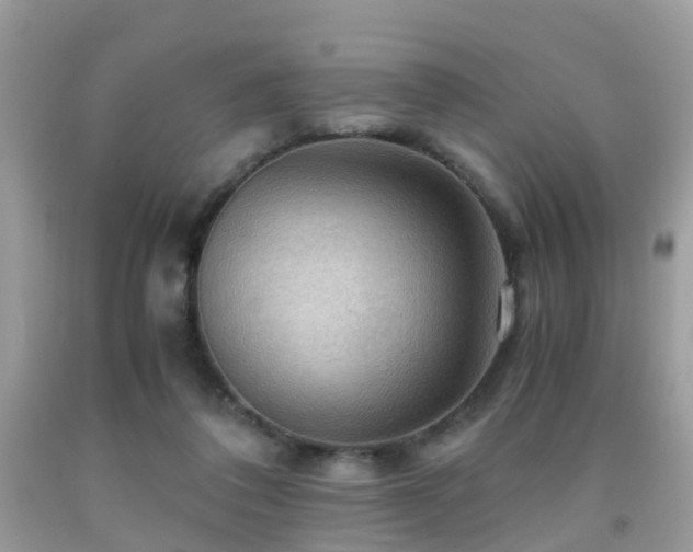 X0000092000308200709061445