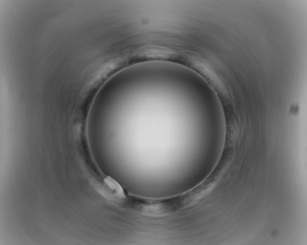 X0000092000309200709061445