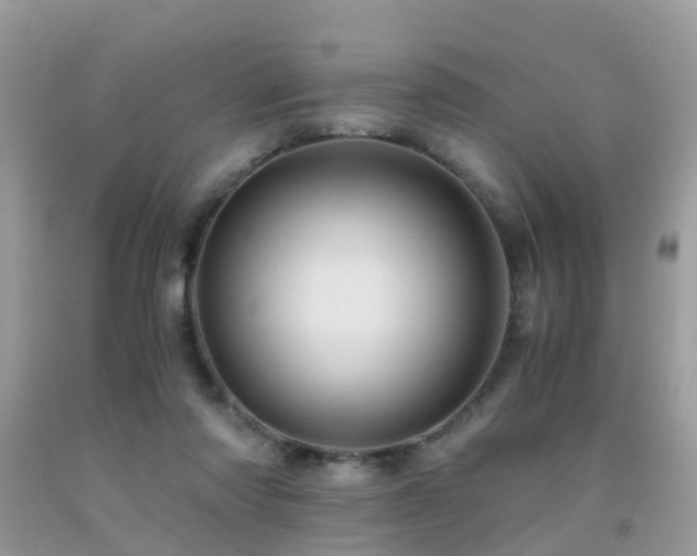 X0000092000310200709061444