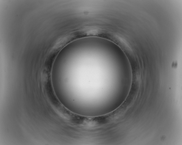 X0000092000311200709061444