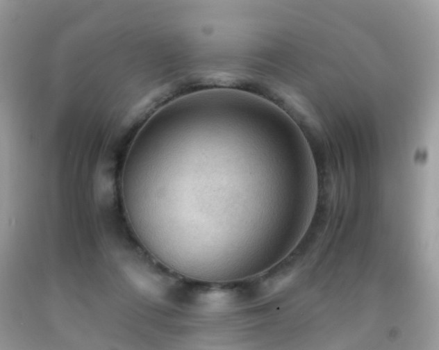 X0000092000312200709061444