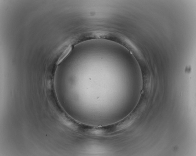 X0000092000313200709061444