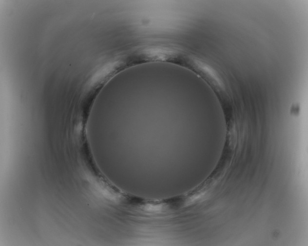 X0000092000314200709061444