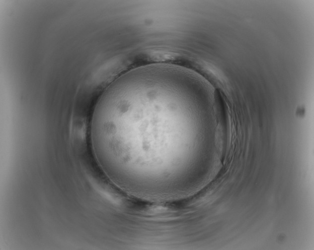 X0000092000315200709061444