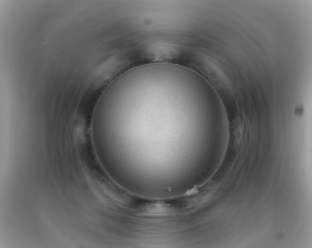 X0000092000316200709061444