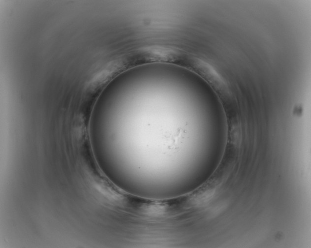 X0000092000318200709061444