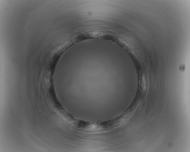 X0000092000319200709061444