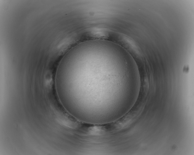 X0000092000320200709061444