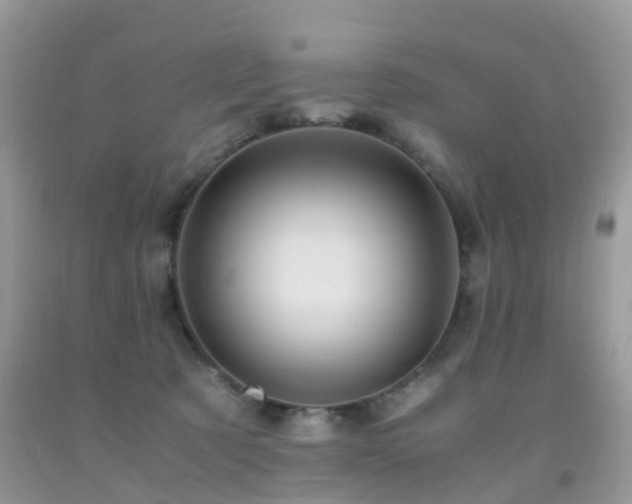 X0000092000321200709061444