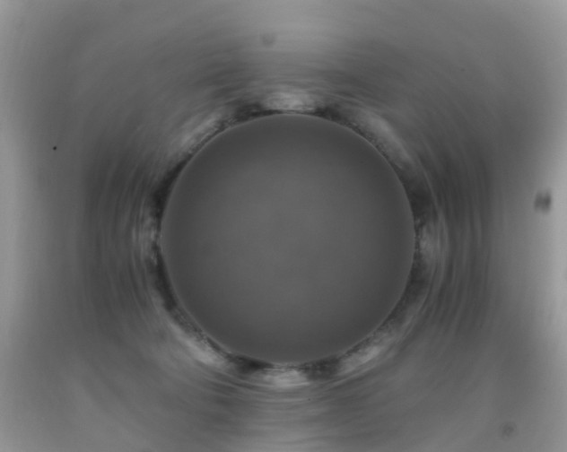 X0000092000322200709061444