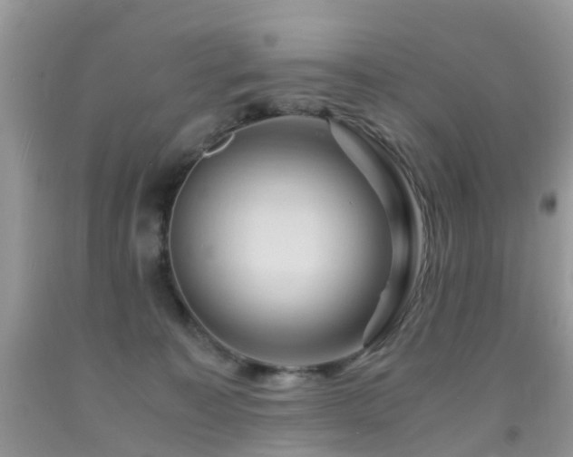 X0000092000323200709061444