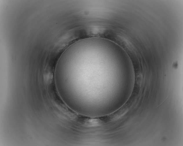 X0000092000324200709061444