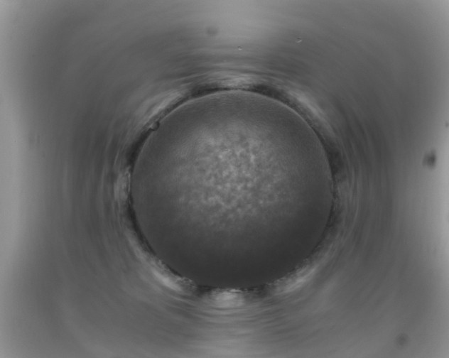 X0000092000325200709061444