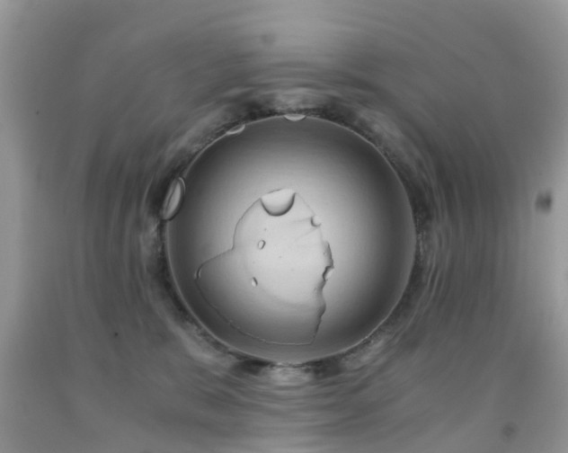 X0000092000327200709061444