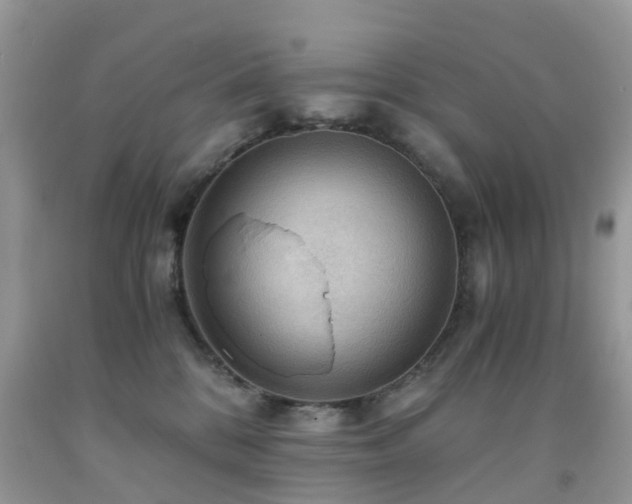 X0000092000328200709061444