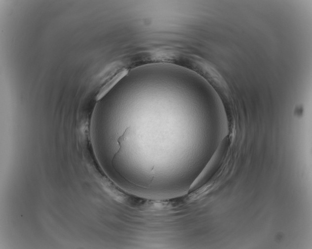 X0000092000329200709061444