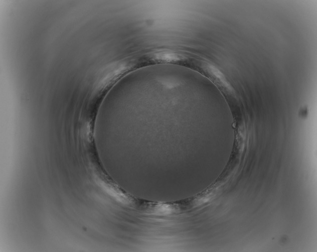 X0000092000330200709061444