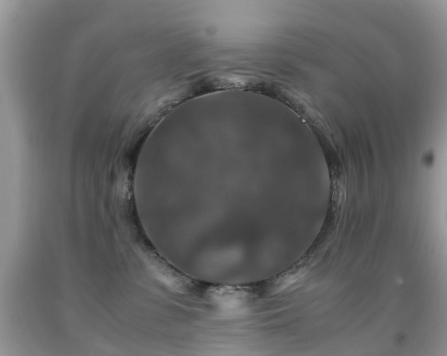 X0000092000331200709061444