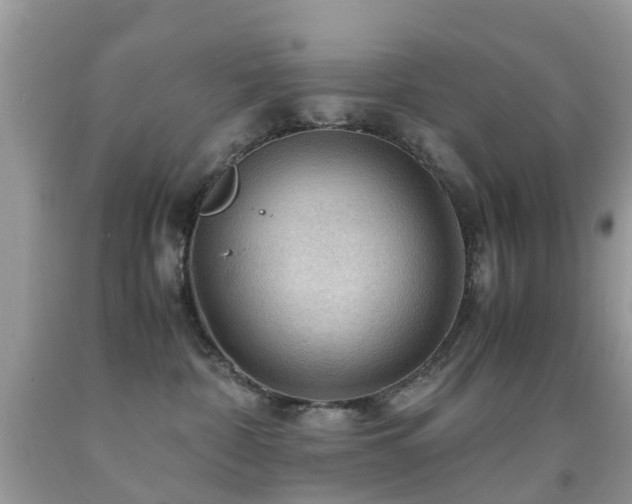 X0000092000332200709061444