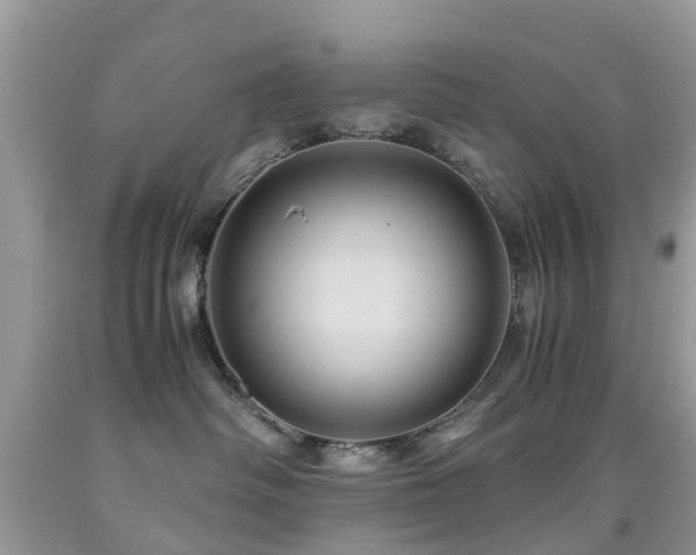 X0000092000334200709061444