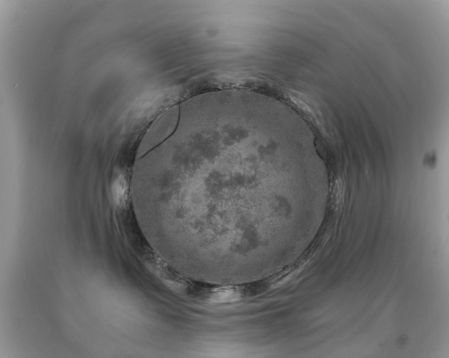 X0000092000335200709061444