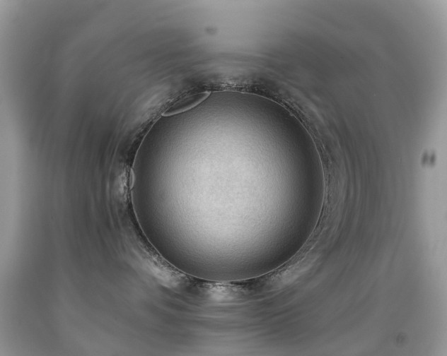 X0000092000336200709061444