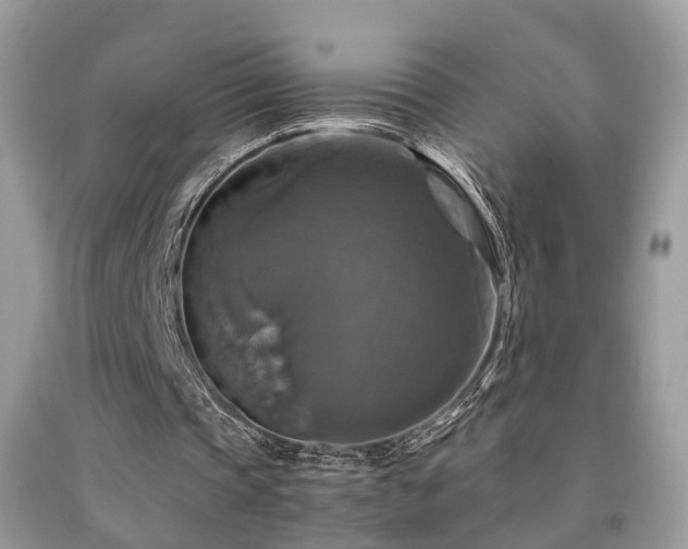 X0000092000337200709061443