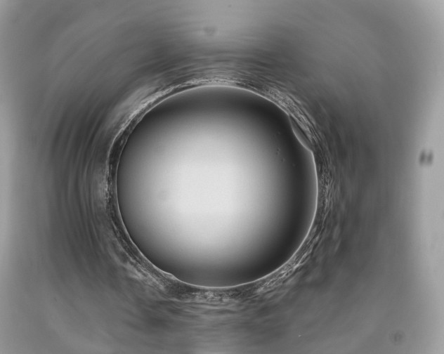 X0000092000338200709061443