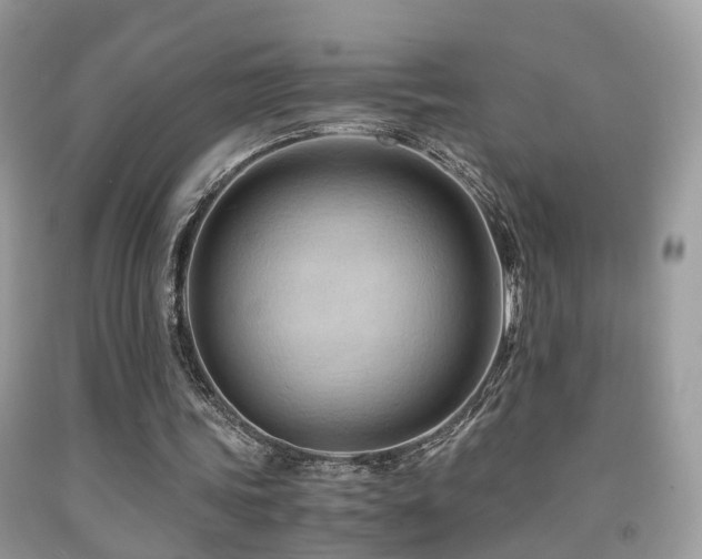 X0000092000339200709061443