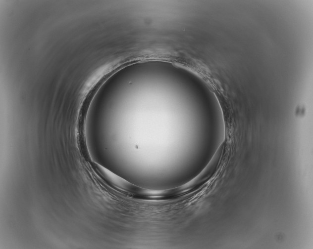 X0000092000340200709061443