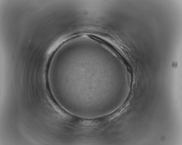 X0000092000341200709061443