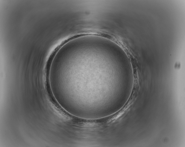 X0000092000342200709061443