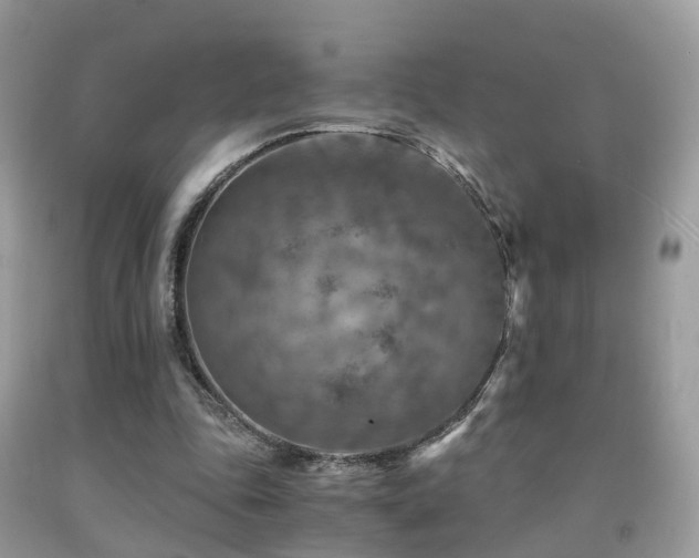 X0000092000343200709061443