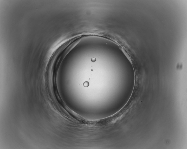 X0000092000344200709061443