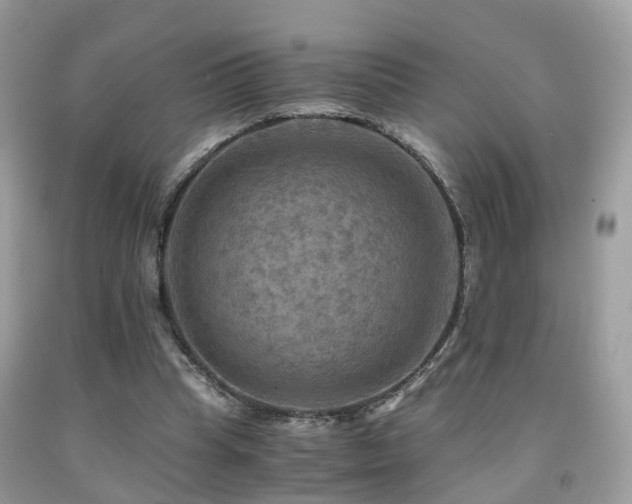 X0000092000345200709061443