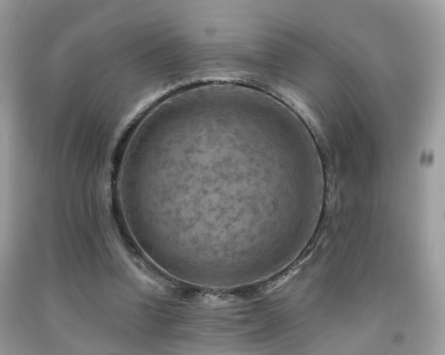 X0000092000346200709061444