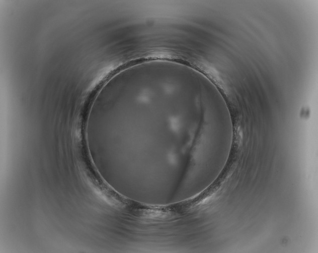 X0000092000347200709061444