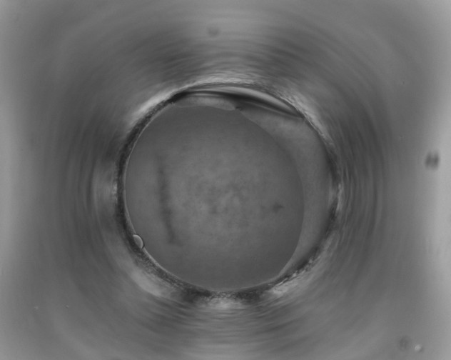 X0000092000348200709061444