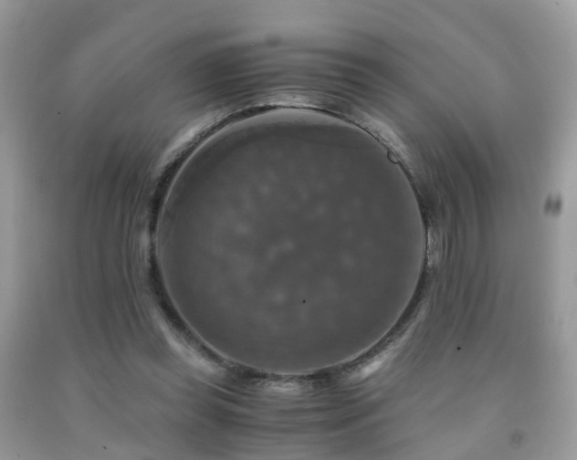 X0000092000349200709061444