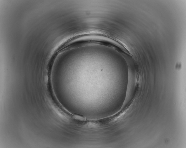 X0000092000350200709061444