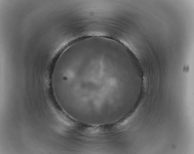 X0000092000351200709061444