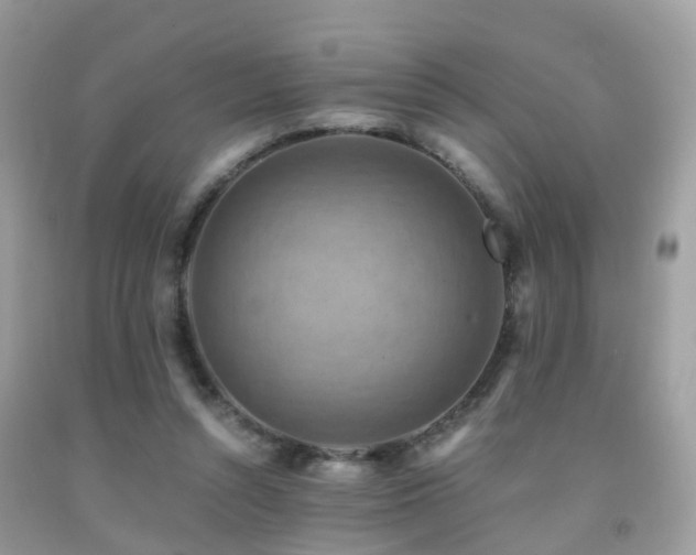 X0000092000352200709061444