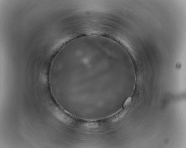 X0000092000353200709061444