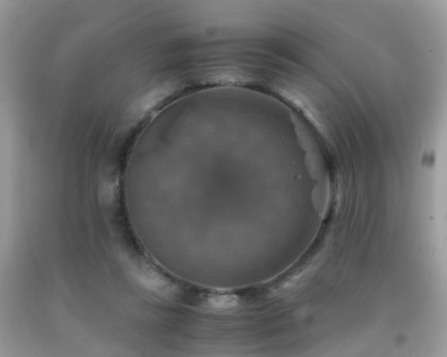 X0000092000355200709061444