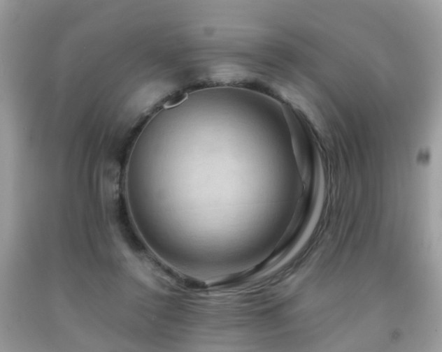 X0000092000356200709061444